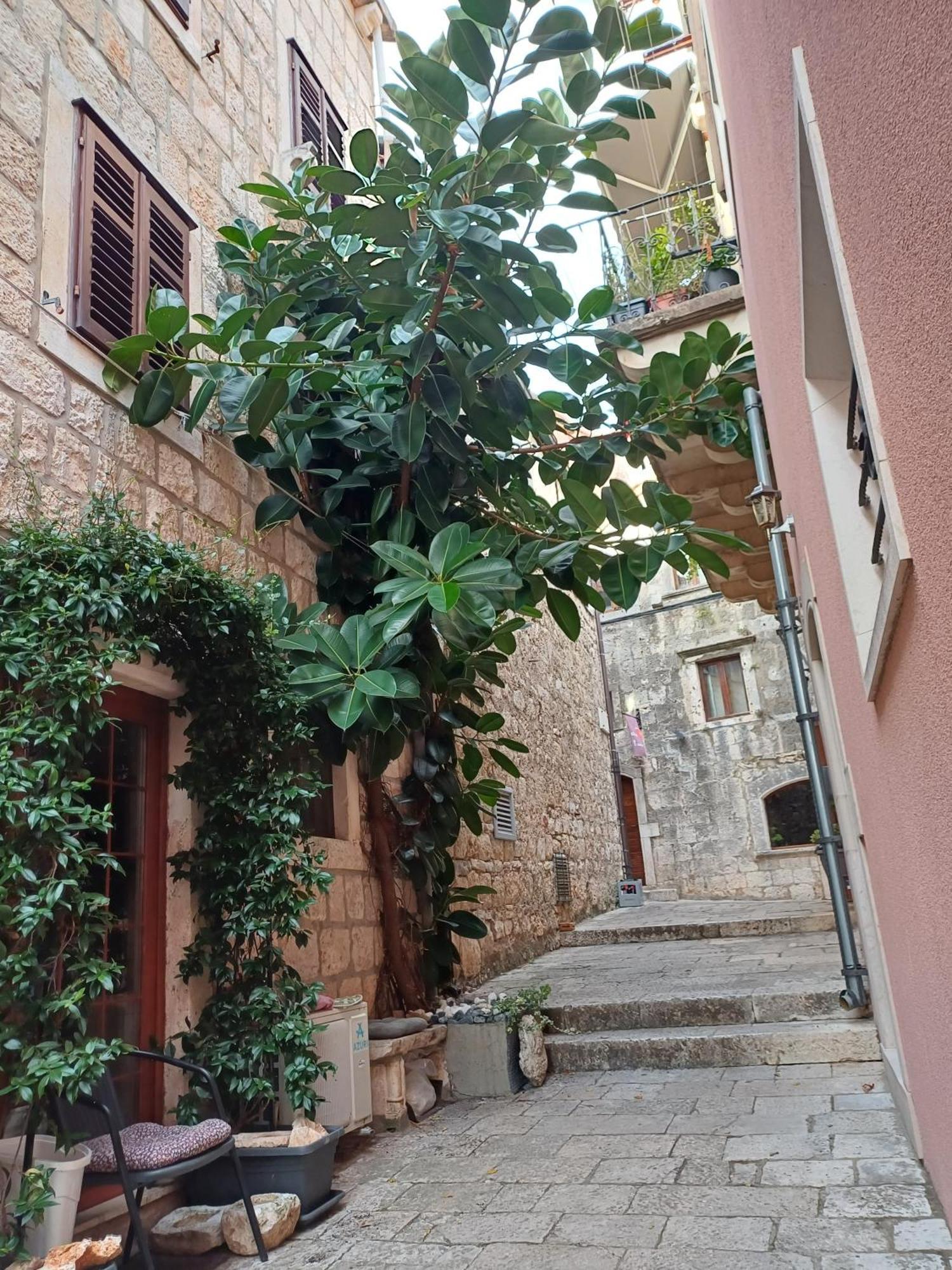 Guest House Jungher Đảo Korčula Ngoại thất bức ảnh