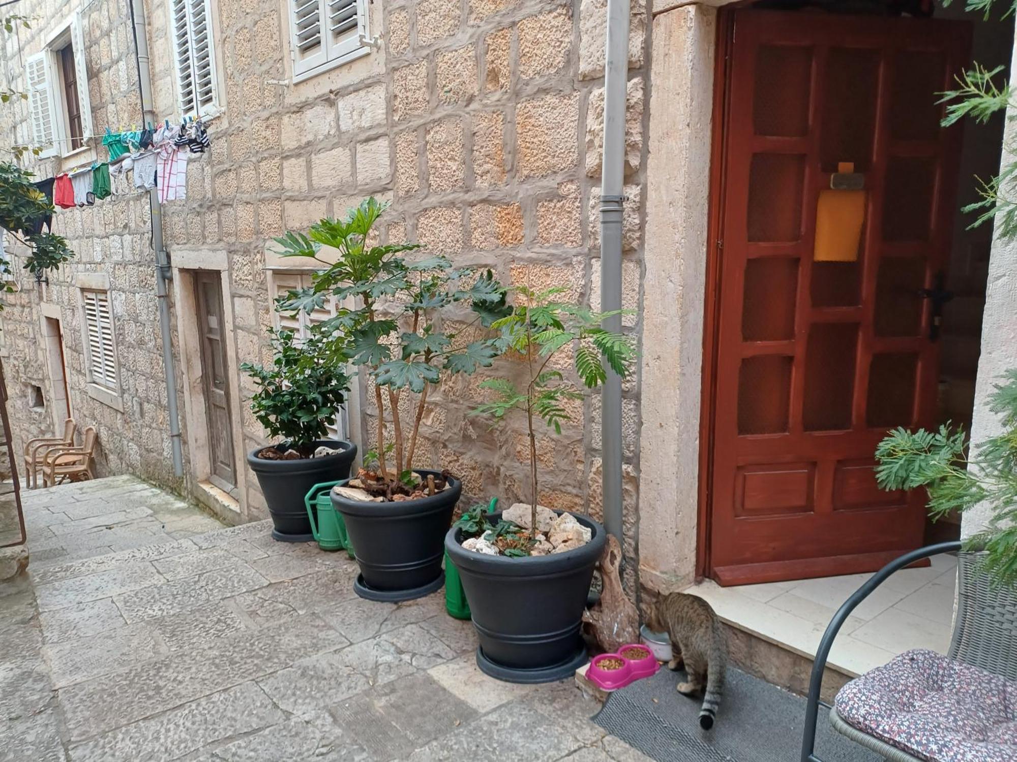 Guest House Jungher Đảo Korčula Ngoại thất bức ảnh